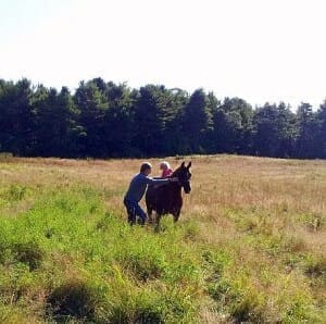 Paternity registration Israel